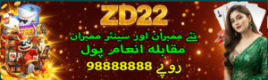 zd22